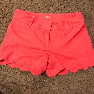 Ann Taylor Loft Shorts